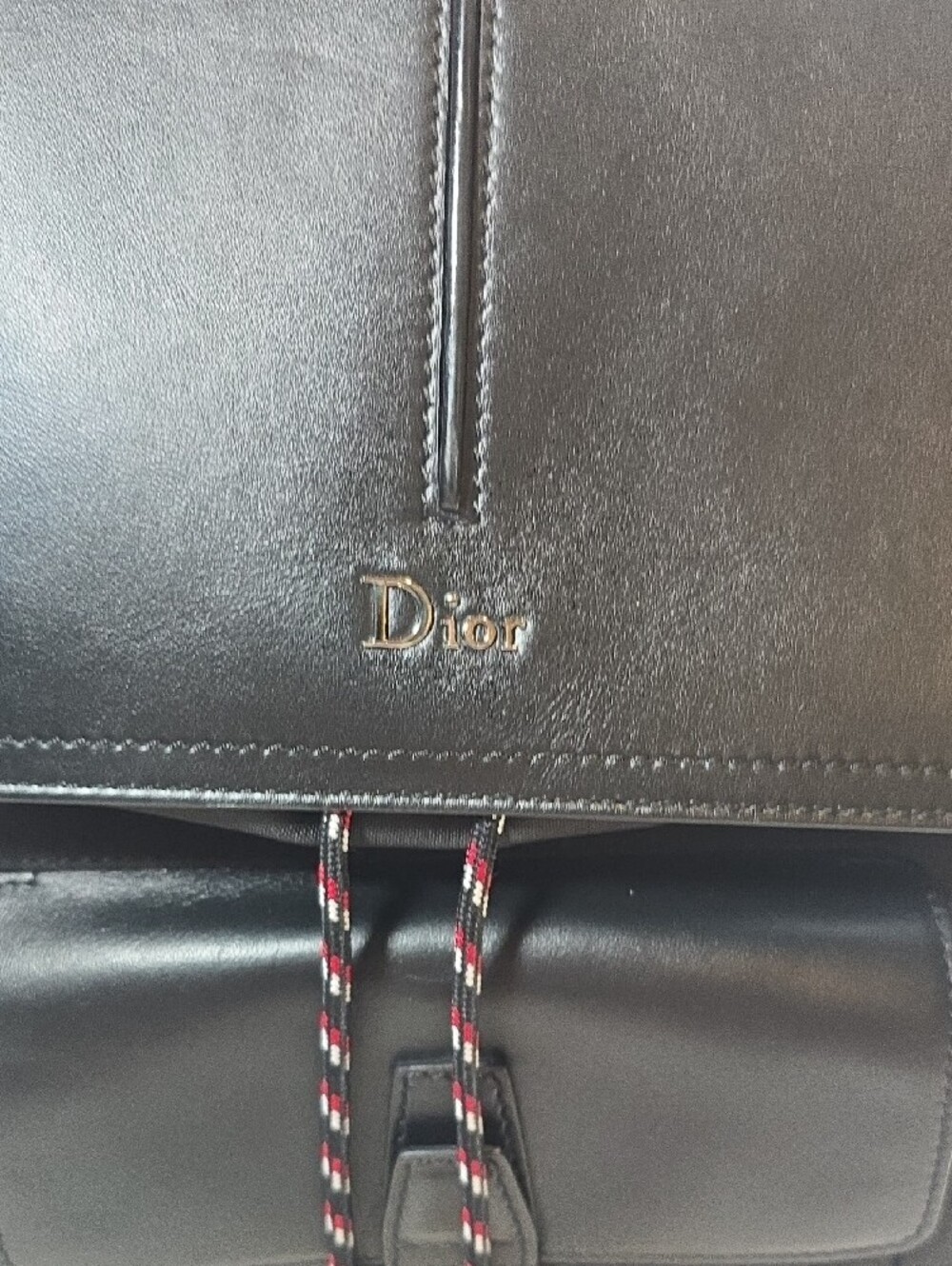 Dior Bee Motion Backpack - Picture 8 of 14